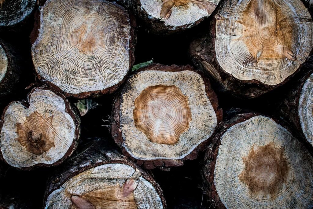 Michael May Sheffield pen knife maker Monika Grabkowska S59dyPi00ow Unsplash 1024x684